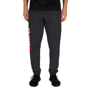 Brand X Sweat Pants/Joggers