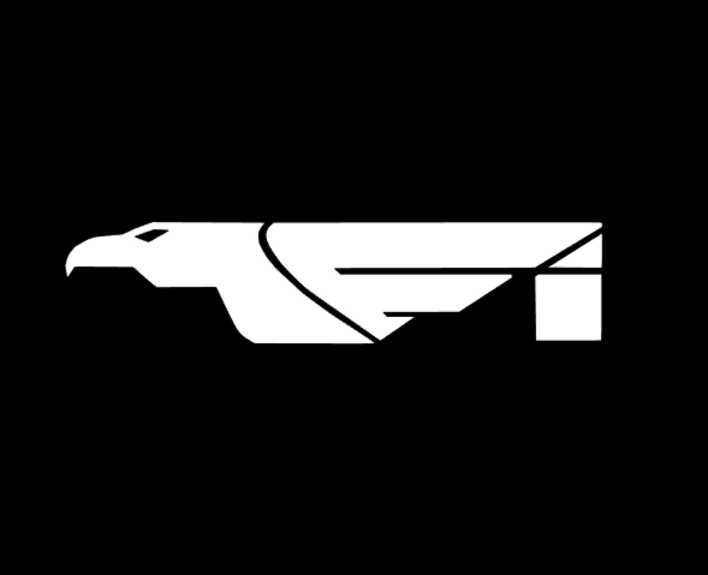 Fi Eagle Decal
